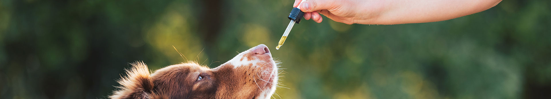 Vente à domicile de produits animaux dans l'Orne